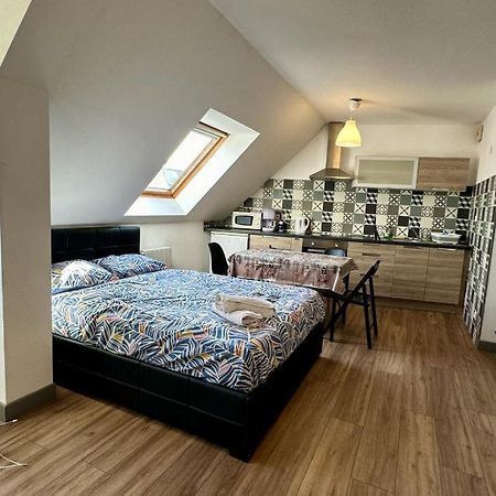 Appartement 4 Personnes En Plein Centre De Colmar Ngoại thất bức ảnh